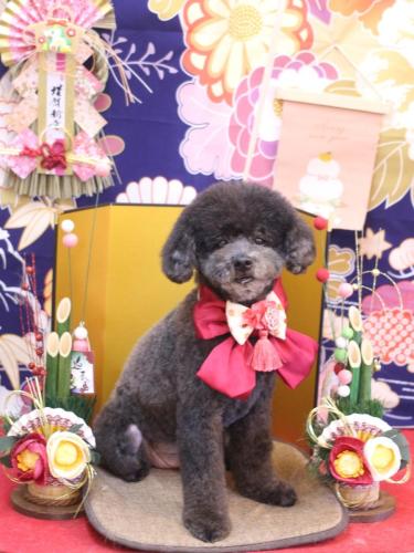 20240130コタロウくん 